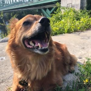 Meet your Posher, Caroline